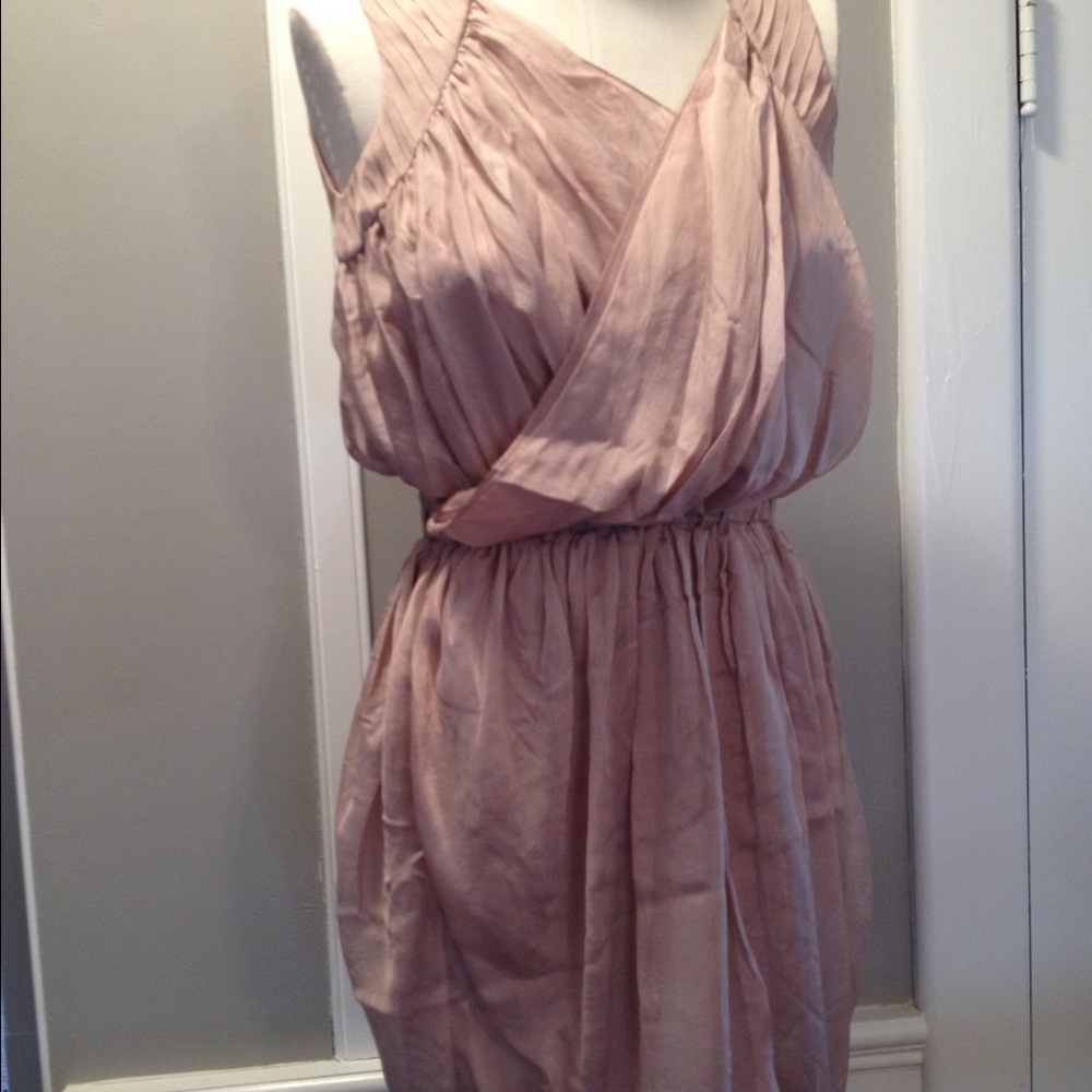 Elizabeth and James Sleeveless Dusty Rose Mini Dress